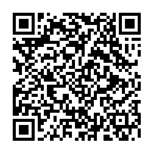 谁都没有注意到在丁长生汽车后面五十米的小区道路上停下了一辆桑塔纳二维码生成