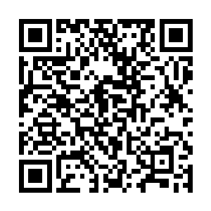 谁都没有看到灵玉儿平静无波的眼底划过的几丝红光二维码生成