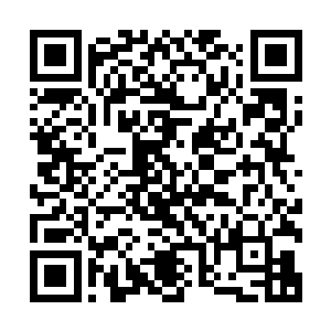 调出来的视频也没有显示有陌生人进入这幢楼的电梯和安全梯二维码生成