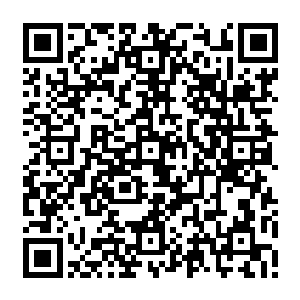 调到省外事办之后苏燕青和他之间仍然保持着每周都有那么一两个电话联系的频率二维码生成