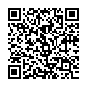 调查皮特和那几个冒充芬克集团高管的事情莫小鱼委托给了洪爷二维码生成