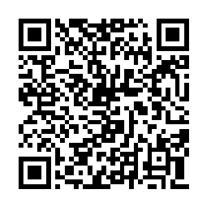 谈的也是跟李毅和今天这场常委会议有关的事情二维码生成