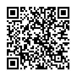 谈笑间洪大力就将之前趾高气扬的贝明轩给压的抬不起头来二维码生成