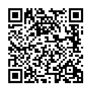谋针对里面的二亿多人了现在我们进去不是送死吗二维码生成
