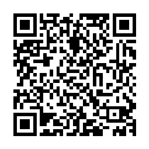 谢大夫人嗓子里发出一声嘶喊挣扎着起来扑倒在谢老夫人身前二维码生成