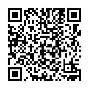 谢大夫人躺在谢文兴怀里浑身发抖泪流满面重复的嘶声喃喃二维码生成