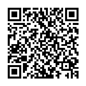 谢天行已经在幻想苏文经此一役之后在文坛寸步难行的场景了二维码生成