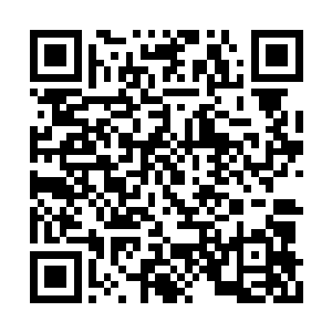 谢家上下似乎还没从三月三的祭祀疲惫中缓过来二维码生成