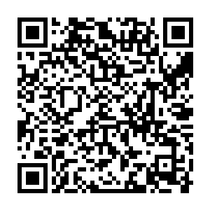 谢尔盖佐夫与耶夫根尼率领着一万余人的残军拼命的向着北方逃窜二维码生成