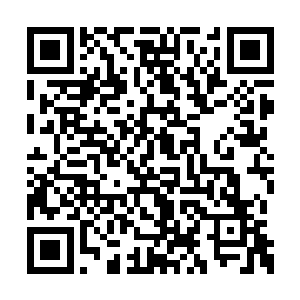 谢尔盖和罗曼自打保加利亚和德国的比赛一结束二维码生成