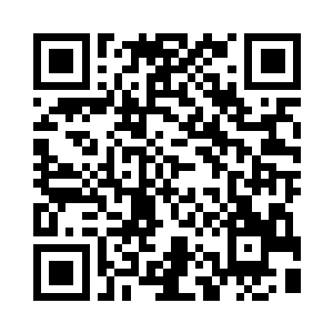 谢尔盖耶维奇和杜塞尔耶夫使用延时拍摄的二维码生成