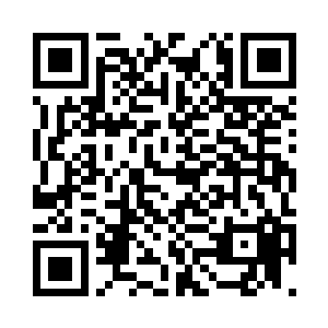 谢教授是咱们国内知名的分类学专家二维码生成