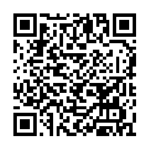 谢文兴掀起帘子进来就看到妻女依偎在一起说笑二维码生成