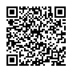 谢明岚让人去库房里头取一套青花瓷器具的时候二维码生成