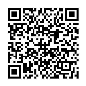 谢柔嘉看着睁着一双无神的眼用手颤颤摸来的谢大夫人二维码生成