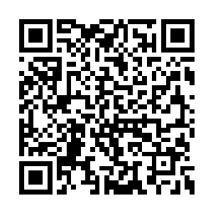 谢柔嘉这一次醒过来的时候没有再在床上伸懒腰二维码生成