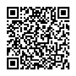 谢柔嘉这时候准备的石头不是原先的那些不大不小的二维码生成