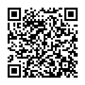 谢清懋和谢清溪可不知道她心里头这样多的弯弯道道二维码生成