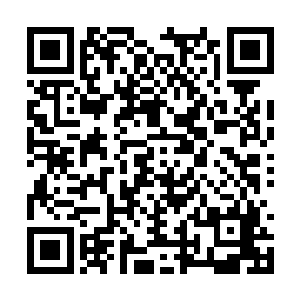 谢清湛一过来也是实实在在地给老太太磕了三个头二维码生成