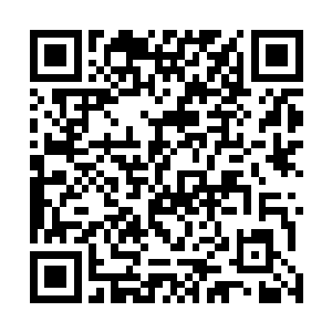 谢芳华为了秦铮连皇宫是龙潭虎穴也只身闯了进去救出他二维码生成