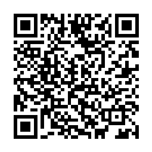 谢芳华想着秦铮这个人谁说他脾性怪异不好与人相处二维码生成