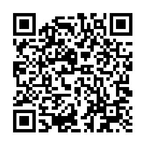 谢芳华白日里又给那范阳卢氏的几位老者实施了催眠术二维码生成