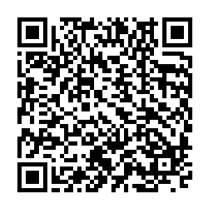 谢芳华虽然这些日子以来端茶倒水打扫屋子收拾杂物做饭洗衣的活都干过了二维码生成