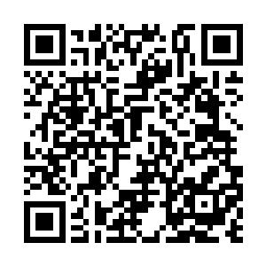 谢茵也没想到秦怜如此帮助谢芳华冲着她们母女来二维码生成