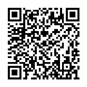 谢谢大家看我写的这堆不知道是不是废话的东西二维码生成