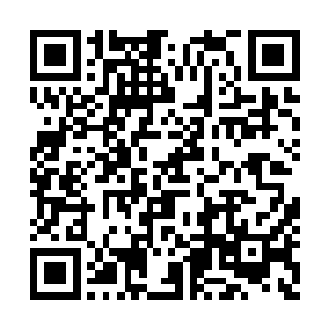 谢赫洋看见丁二狗的手被锋利的石头磨得出了血二维码生成