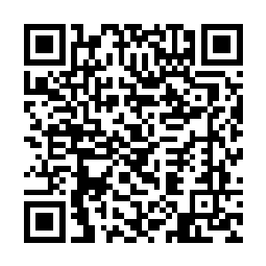 谢雨安手中一条月白色的长鞭以肉眼可见的速度生长二维码生成
