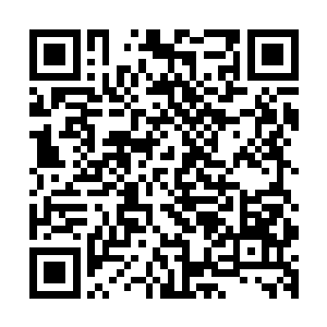 谨慎同步漂流在遗忘之地洞天和母型方舟的光辉辐射范围边缘二维码生成