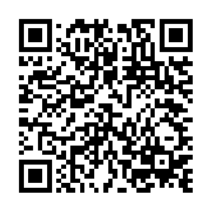 谭卫东很可能就是一匹反叛李毅让张正华出奇制胜的黑马二维码生成