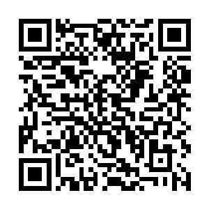 谭国麟只不过是刚好就在凤凰美食城内被请来当评委二维码生成