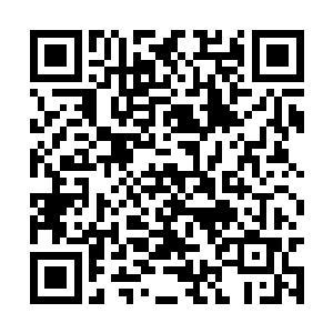 谭子化书它从真正道家理论角度完美解释了进化论二维码生成