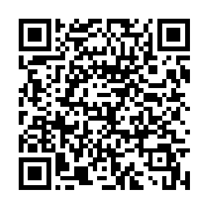 谭宁刚显然没有料到太上君瑾会突然出手对付自己二维码生成