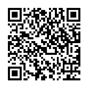谭曜一想到年轻的华侨姑娘可能是家人安排的相亲对象二维码生成