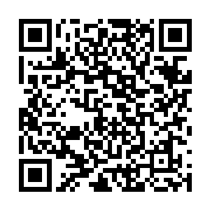 谭渊的声音几乎与斑点停下的动作发生在同一时间二维码生成