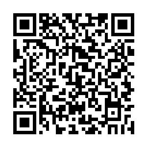 谭烙的十六面锯齿飞盾亦急速旋转着破空而出激战二维码生成