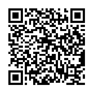 谭纶就收到了靖南县知县朱平安着人呈送的公文战报二维码生成