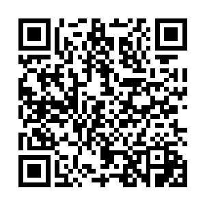 谭继之看着坐在放了软垫舒适的椅子里一脸放松的叶璃二维码生成