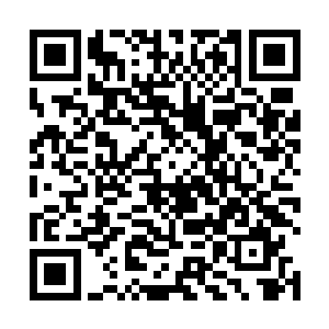 谷家的未来之星谷青云已经开始展现出强大的三昧力量二维码生成