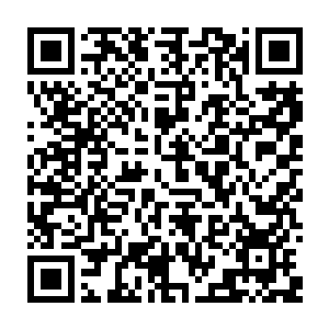 谷家骑士一个个身上就像穿戴着高阶的拥有快速恢复效果的符文装备一样二维码生成