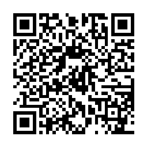 谷神准备将这场大战作为女真平推天下的最后一场大战二维码生成