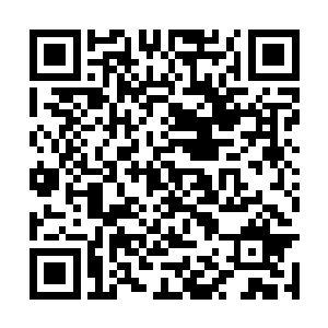 豆大的汗珠从那被粗大的石粒划出来的伤口上流过二维码生成