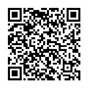 豆毛毛经过传承之后的责任当然就是它们这些海妖兽二维码生成