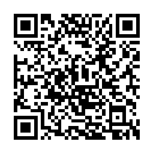 象今晚陈观的同学们这样无拘无束地在一起交流二维码生成