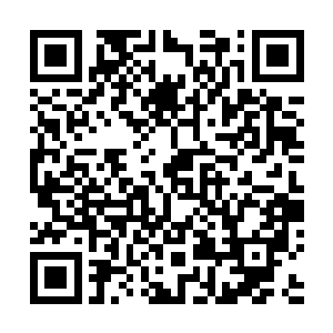 象犬王这样的人物照理是没可能突破的比金银二老还晚的二维码生成
