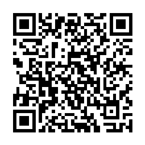 象郑卫华遇袭这样重大的事情她肯定会第一时间知道二维码生成