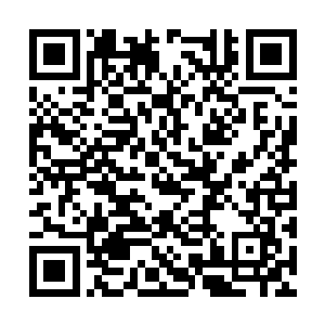 豪车的车头上还插着两面有广南王府标志的小旗子二维码生成